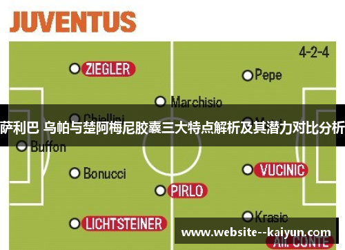 萨利巴 乌帕与楚阿梅尼胶囊三大特点解析及其潜力对比分析