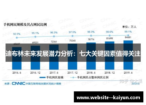迪布林未来发展潜力分析:七大关键因素值得关注 迪布林未来发展潜力分析:七大关键因素值得关注