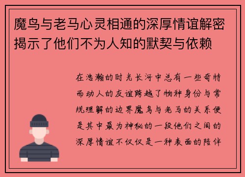 魔鸟与老马心灵相通的深厚情谊解密揭示了他们不为人知的默契与依赖