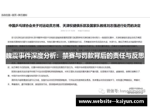 魏震事件深度分析：禁赛与罚款背后的责任与反思